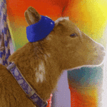 Sassy Oh No GIF by Nickelodeon