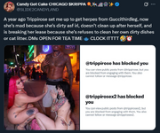 Screenshot 2025-05-15 005119.png