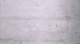 Talking Heads GIF by Coolidge Corner Theatre