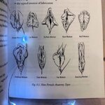 HAfce1tacAIqvBc.jpg HAfce1tacAIqvBc.jpg