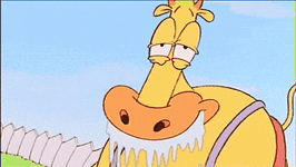 Rockos Modern Life 90S GIF