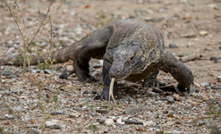 Screenshot 2026-03-15 225924.png