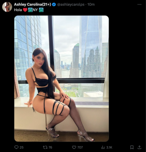 Screen Shot 2024-05-03 at 11.39.38 AM.png