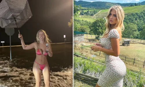 IMG_7044.webp IMG_7044.webp