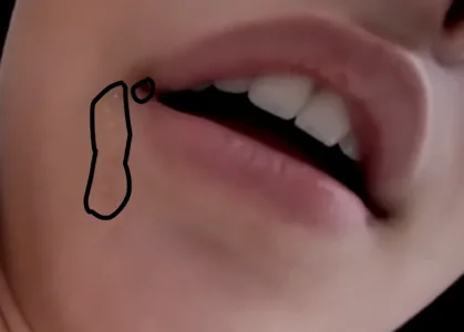 Screenshot 2024-10-25 11.18.21 AM.webp